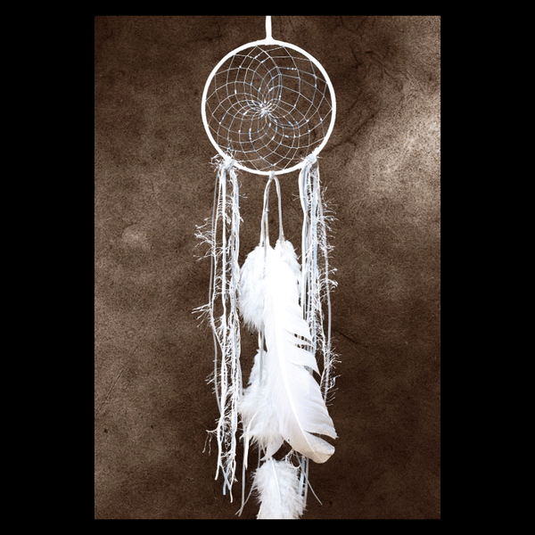 First Nations Dream Catchers