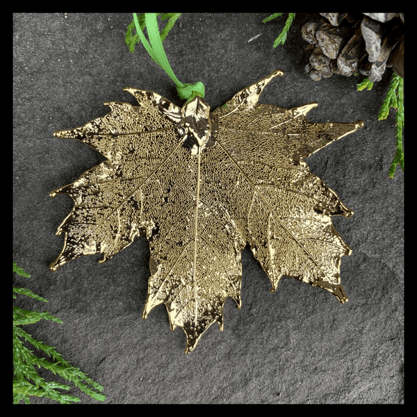 Canadian Gold Maple Leaves