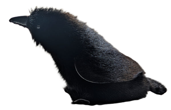 Sealskin Raven - Geela Nakashuk