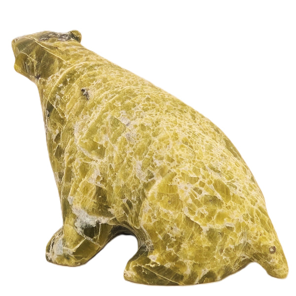 "Sitting Bear" - Parr Parr