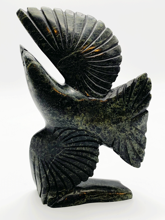 A gorgeously detailed eagle soars in this soapstone carving. The piece is balanced on one wing, so that the eagle looks like it is banking with its other wing raised above its body. This image shows the detailed carvings making feathers on the wings and tail.