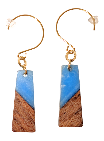 Rectangular Blue and Walnut Earrings