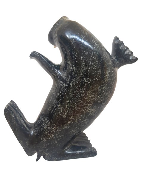 "Dancing Walrus" - Kelly Etidloie