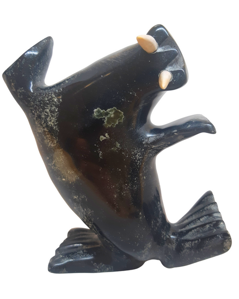 "Dancing Walrus" - Kelly Etidloie