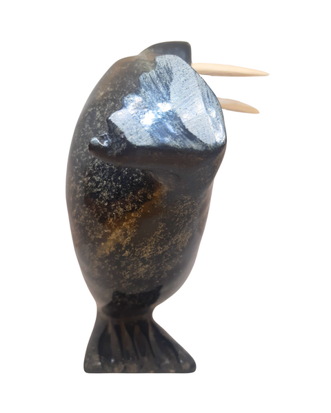 "Dancing Walrus" - Kelly Etidloie