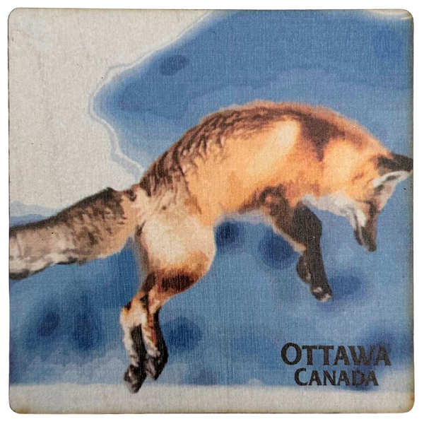 Canadian Fox Coaster