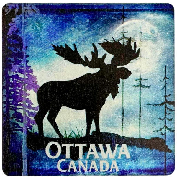 Ottawa Canada Moose Coaster