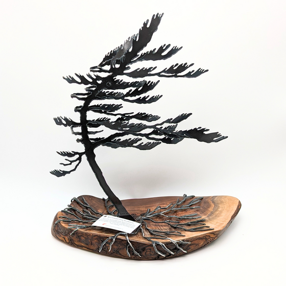 Steel windswept pine tree fitted onto a piece of Canadian tree.