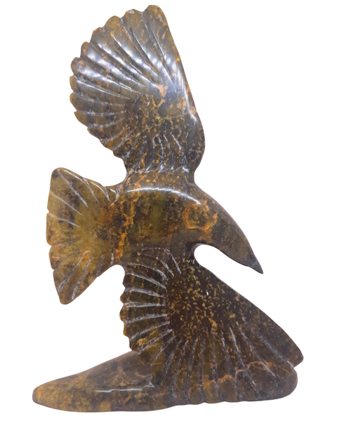 "Bird" - Kelly Etidloie