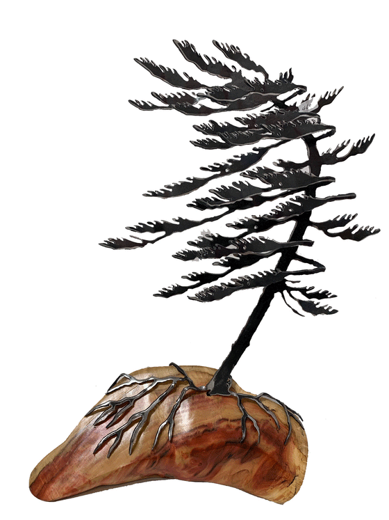 Steel windswept pine tree fitted onto a piece of Canadian polished wood. 