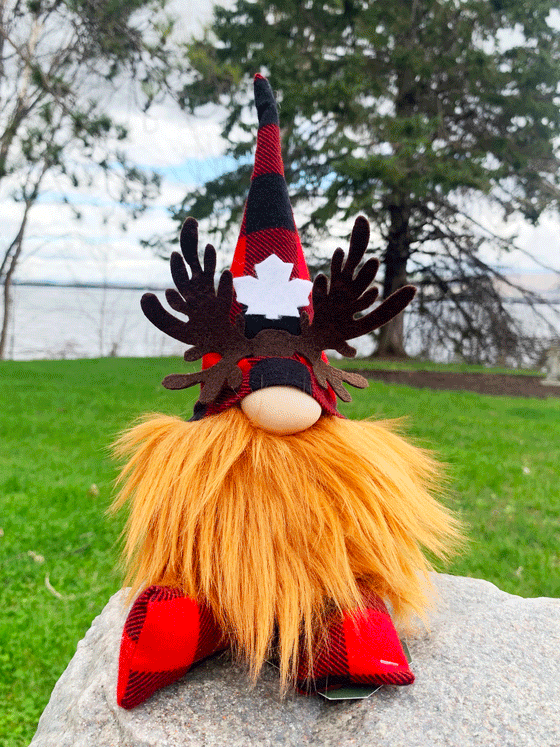 Canadian Moose Gnome - Ginger