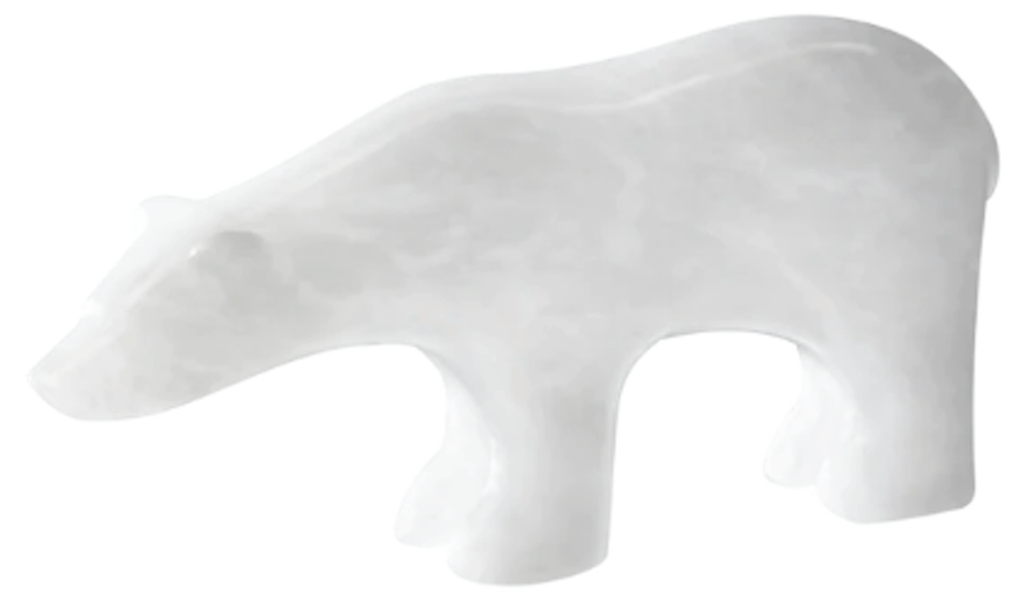 Polar Bear Carving Kit