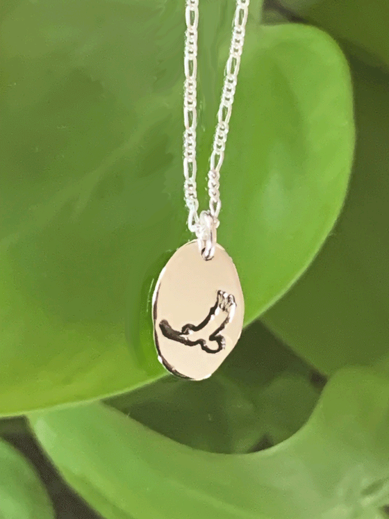 A necklace made of sterling silver hangs freely in front of a forest backdrop. The pendant is an oval of bright polished silver with a flying eagle etched into the centre.