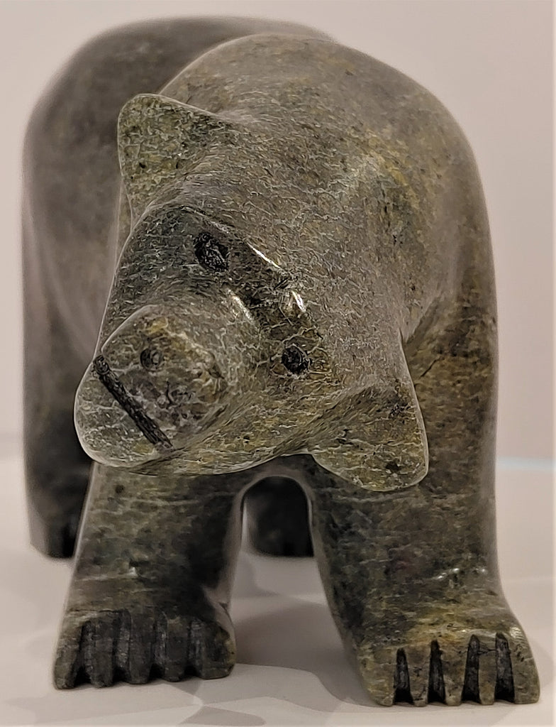 A closeup of an attentive bear standing on all fours, carved from mottled green soapstone. This bear faces the viewer, head cocked playfully to one side.
