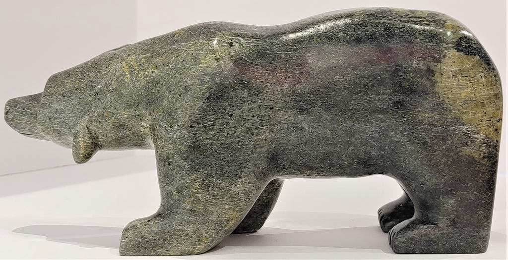 A closeup of an attentive bear standing on all fours, carved from mottled green soapstone. This bear faces left.
