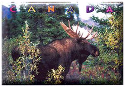 A brown moose in a green forest, with 'Canada' written above.