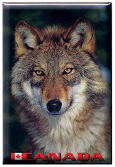 The face of a grey wolf. Canada is written in red at the bottom.