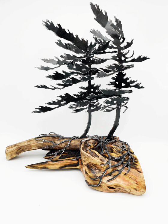 Steel windswept pine tree fitted onto a piece of Canadian drift wood.