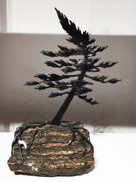Steel windswept pine tree fitted onto a piece Canadian stone.