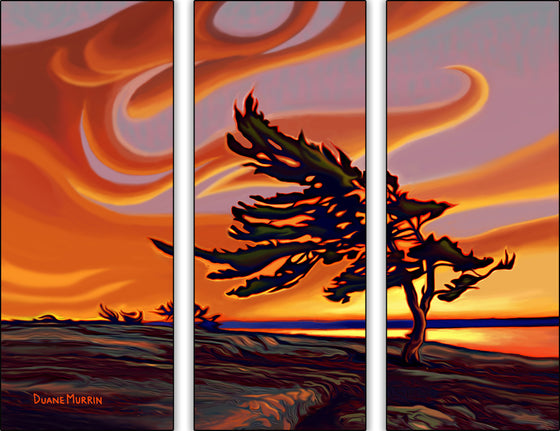 A curved tree with green leaves is situated on a dimensional brown, green and blue coloured ground. Orange coloured water is behind the right side of the tree, which is reflecting the flowing orange, yellow and pink coloured sky above. The scene is split into 3 horizontal pieces.