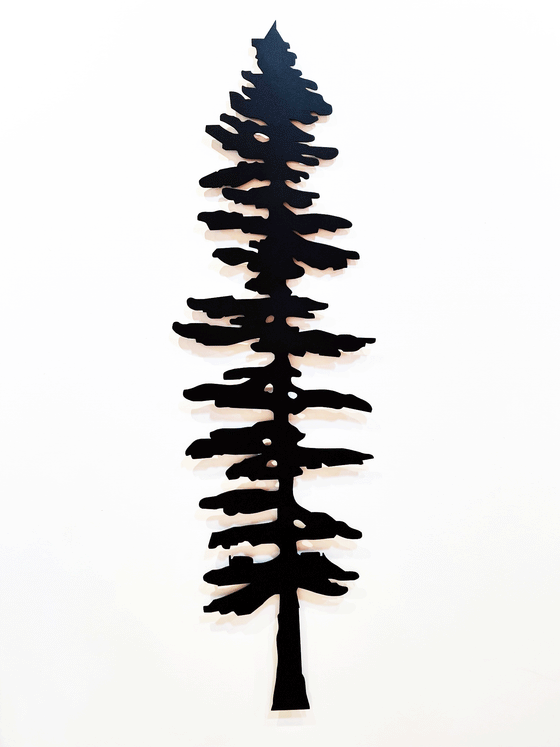 The Sitka tree is tall but slim. Its short, broad branches are about the same length along the whole tree, except at the top where they form a point. The sculpture hangs about an inch off the wall, throwing subtle shadows on the white wall behind it.