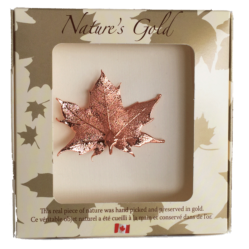 A small copper coated maple leaf sits in a paper box. The top face of the box has a wide square viewing hole. The box is tan with gold maple leaf prints. At the top of the box is written Nature’s Gold. At the bottom is written “this real piece of nature was handpicked and preserved in gold” followed by “Ce véritable objet naturel a été cueilli à la main et conservé dans de l’or”