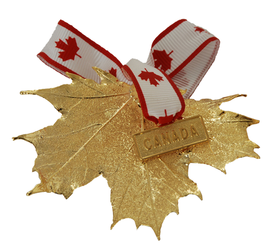 A large gold coated maple leaf on a white background. A ribbon patterned with maple leaves is attached to the stem end of the leaf. On the ribbon is a small gold charm which says “Canada”. The gold has a bright finish.