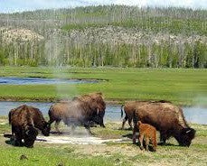 Take a Hike! (And Other Reasons to Visit Canada’s Largest National Park)