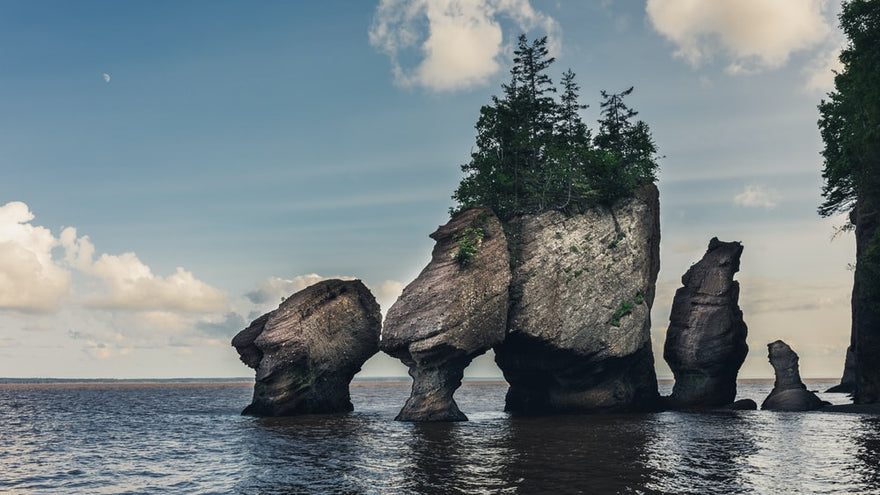 Guide to Fundy National Park in New Brunswick, Canada - Thrillist