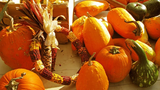 Differences between Canadian Thanksgiving and American Thanksgiving that will Blow Your Mind!