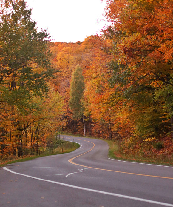 Must-Try Hikes in Ottawa