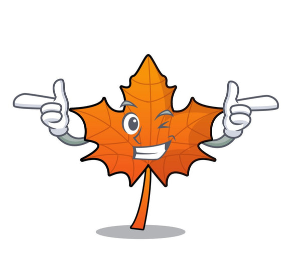 Items you use daily that you didn’t know were invented by Canadians!