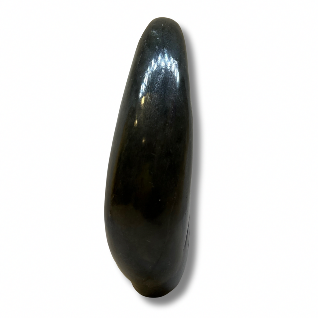 A black stone seal plays in the water, bending its body as though changing direction.