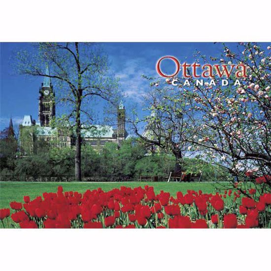 Ottawa Parliament & Tulips- Postcard