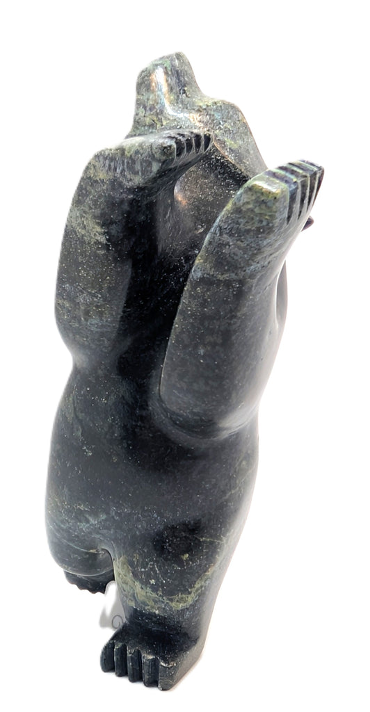 "Dancing Bear" - Adamie Mathewsie