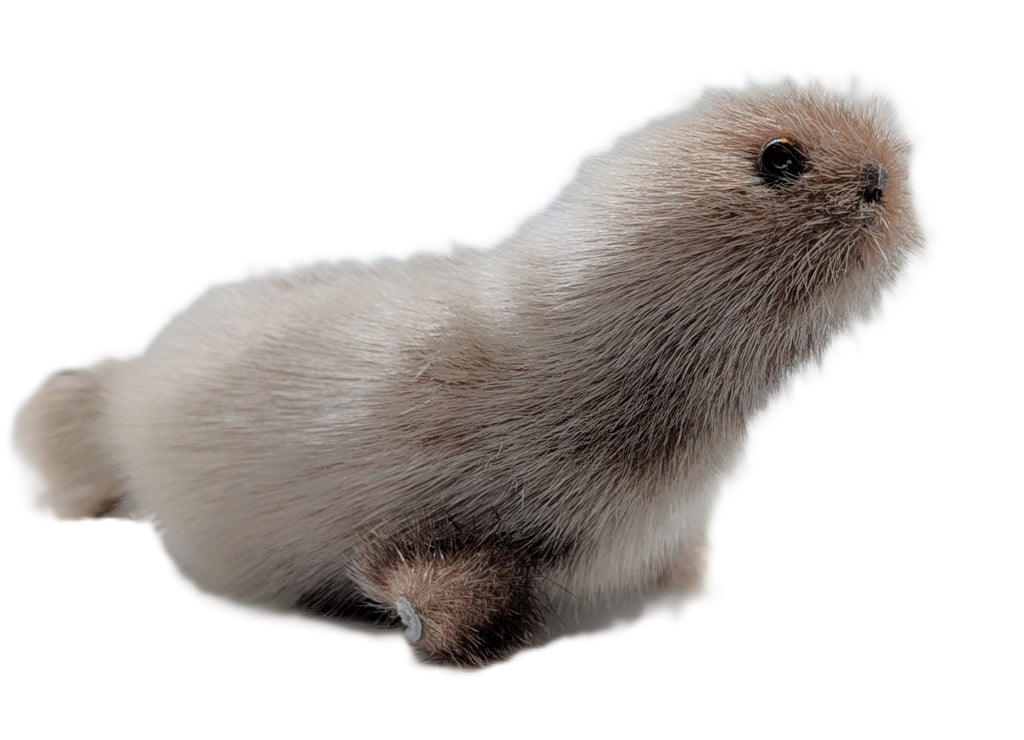 grey sealskin plushie