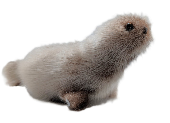 grey sealskin plushie
