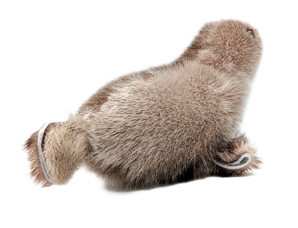 Sealskin Seal - Geela Nakashuk