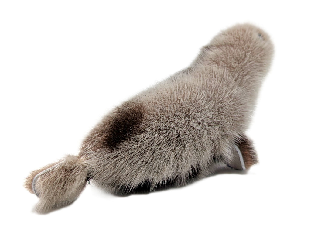 Sealskin Seal - Geela Nakashuk