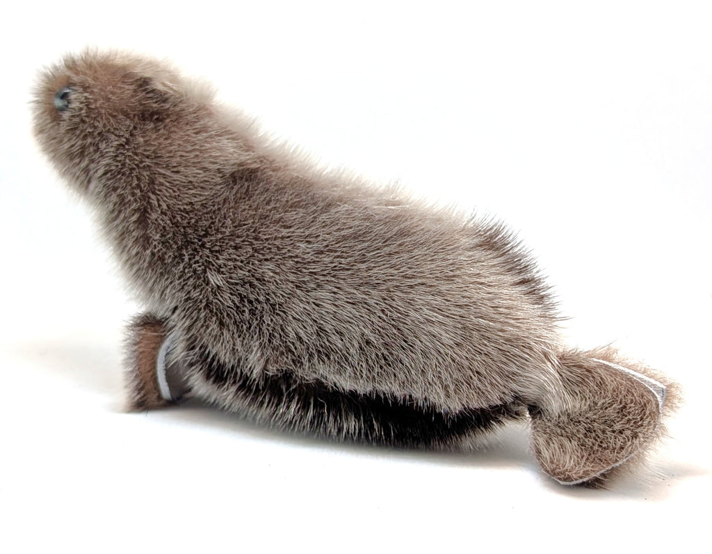 Sealskin Seal - Geela Nakashuk