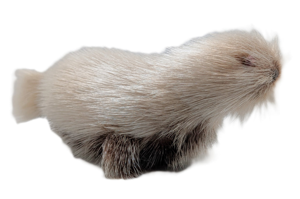 Sealskin Seal - Geela Nakashuk