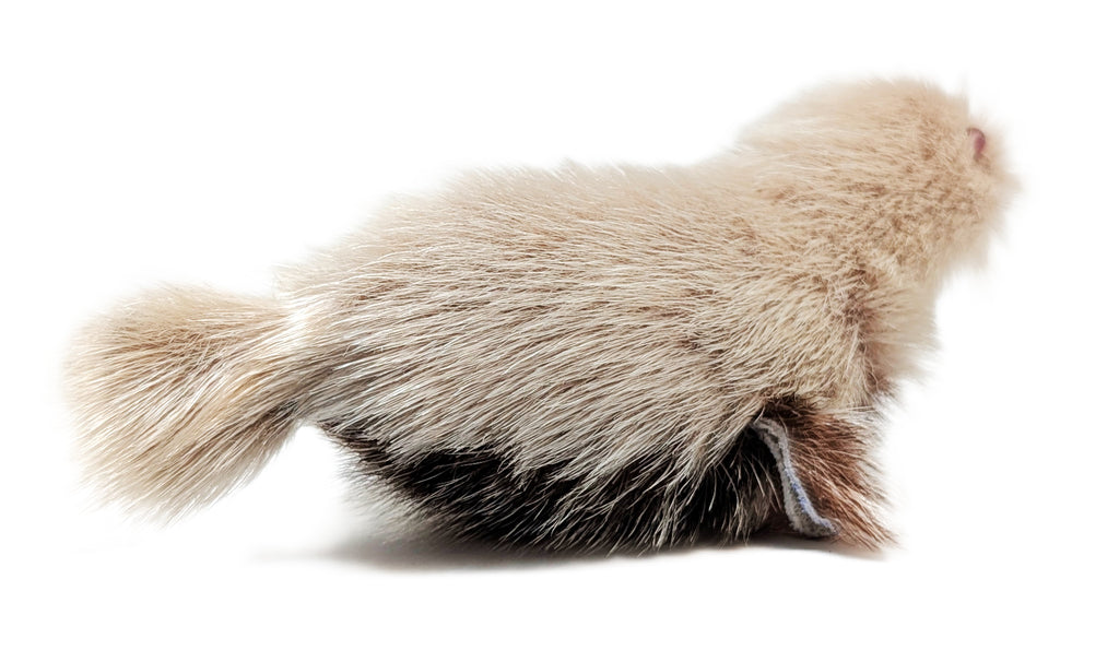 Sealskin Seal - Geela Nakashuk