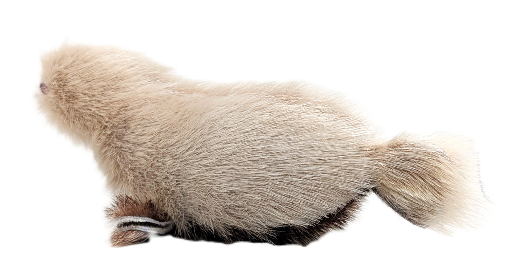 Sealskin Seal - Geela Nakashuk