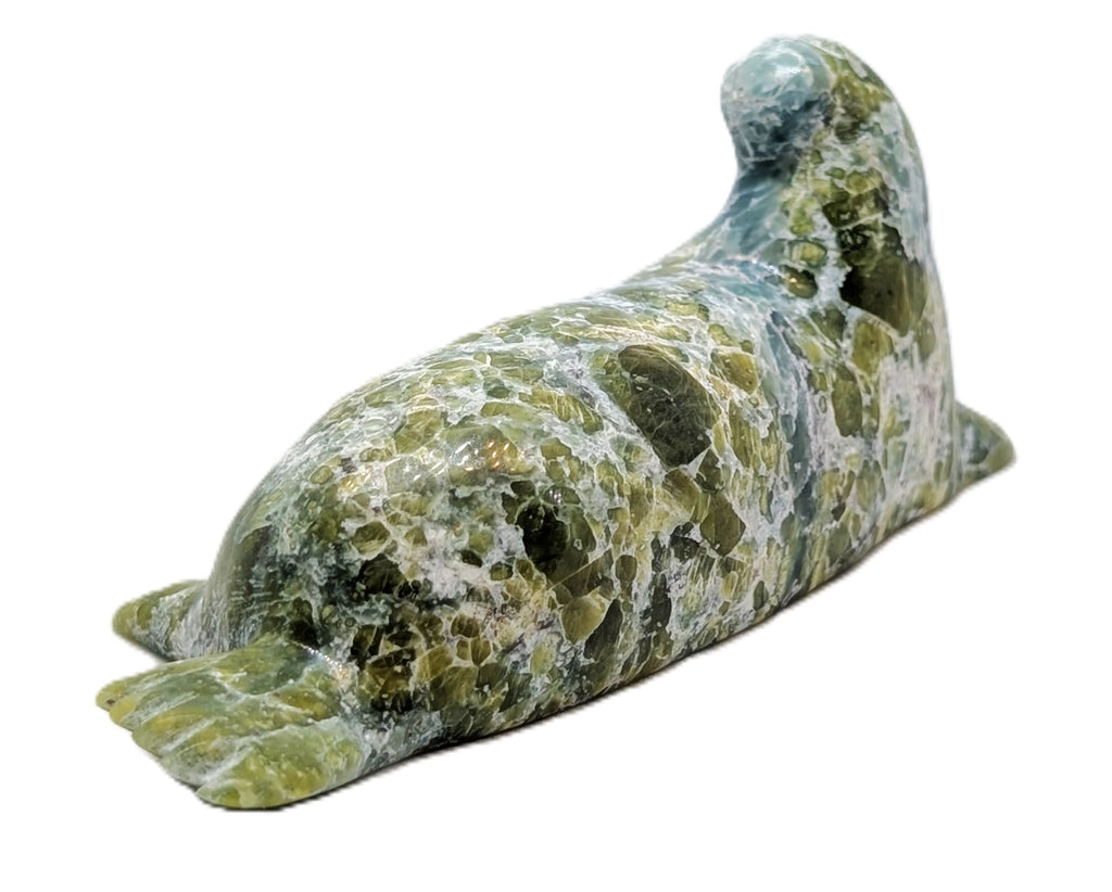 "Seal" - Padlalik Shaa