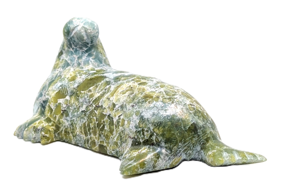 "Seal" - Padlalik Shaa