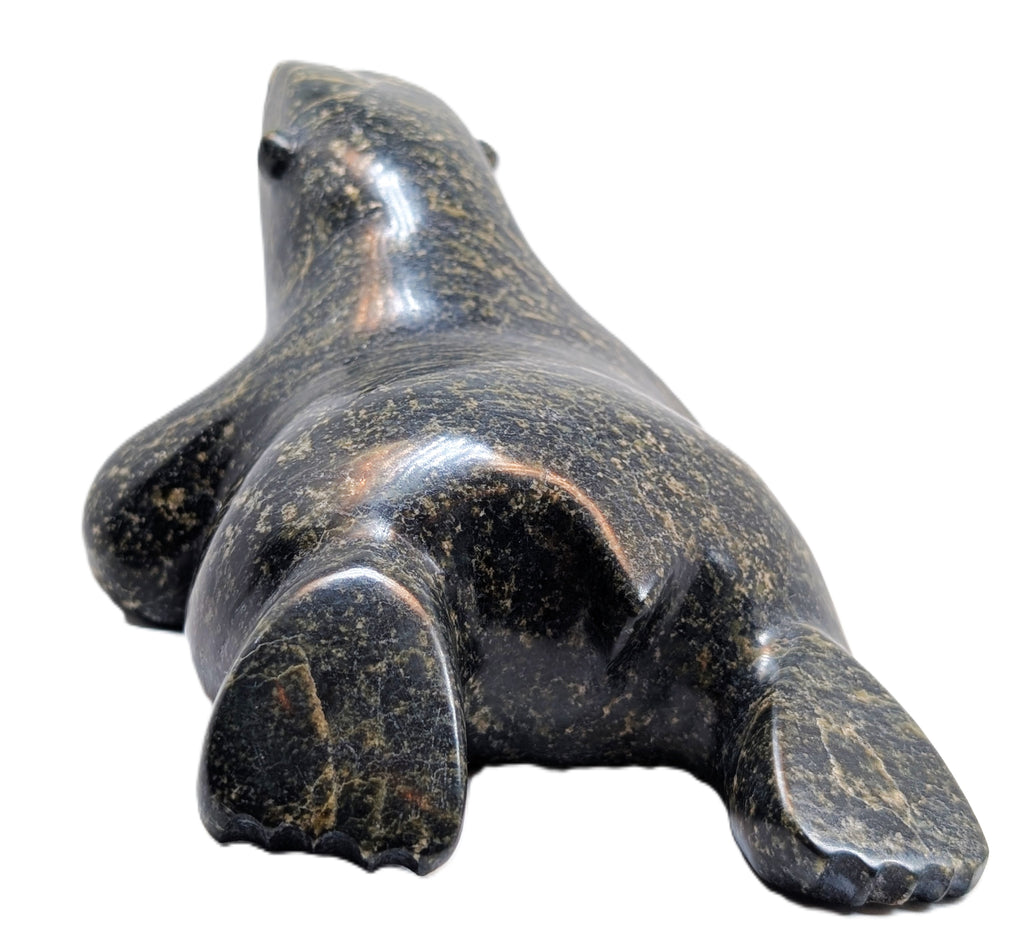 "Crawling Bear" - Qavavau Ashoona