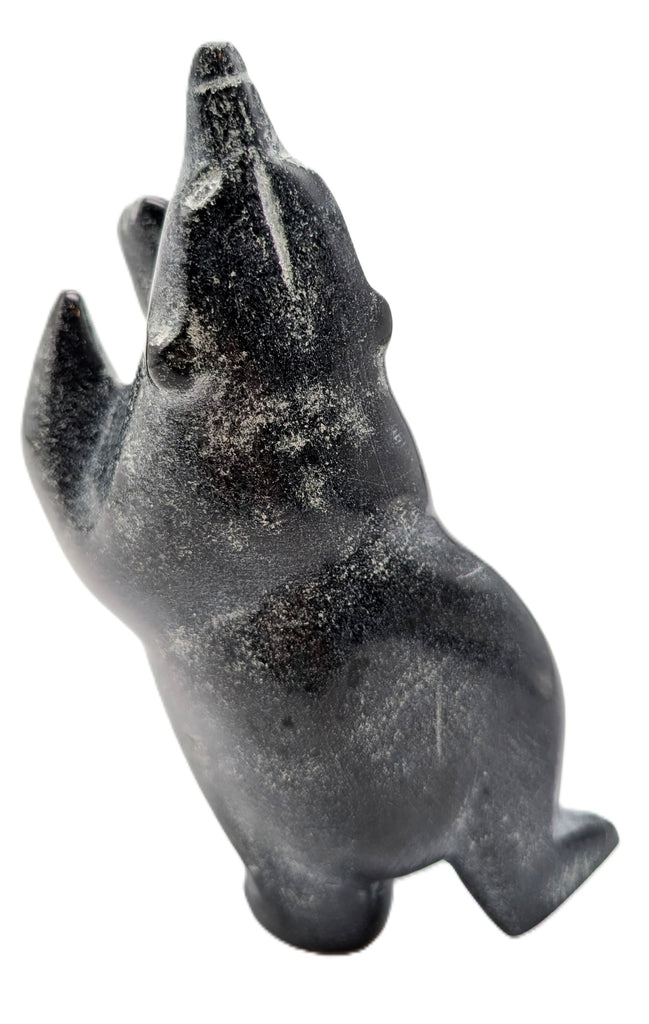 "Dancing Bear" - Samonie Shaa