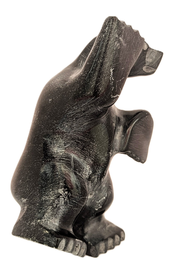 "Dancing Bear" - Kelly Etidloie