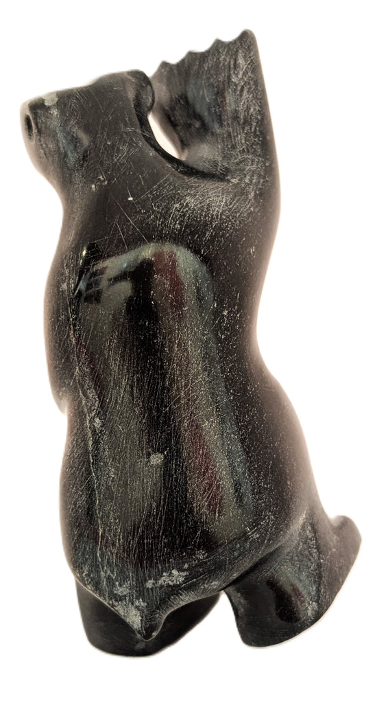 "Dancing Bear" - Kelly Etidloie