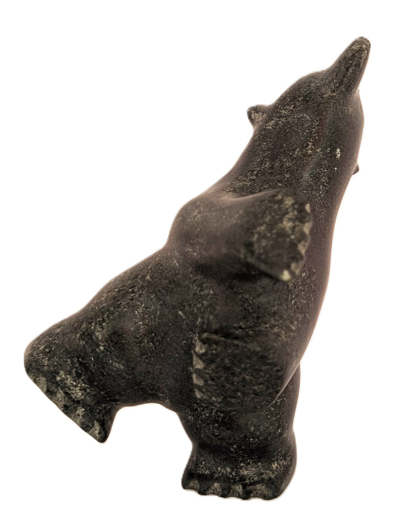 "Dancing Bear" - Killiktee Killiktee